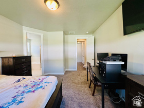 THOROUGHBRED CROSSING - Residential