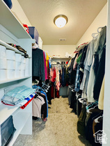 THOROUGHBRED CROSSING - Residential