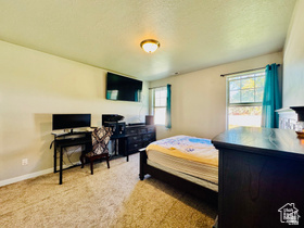 THOROUGHBRED CROSSING - Residential