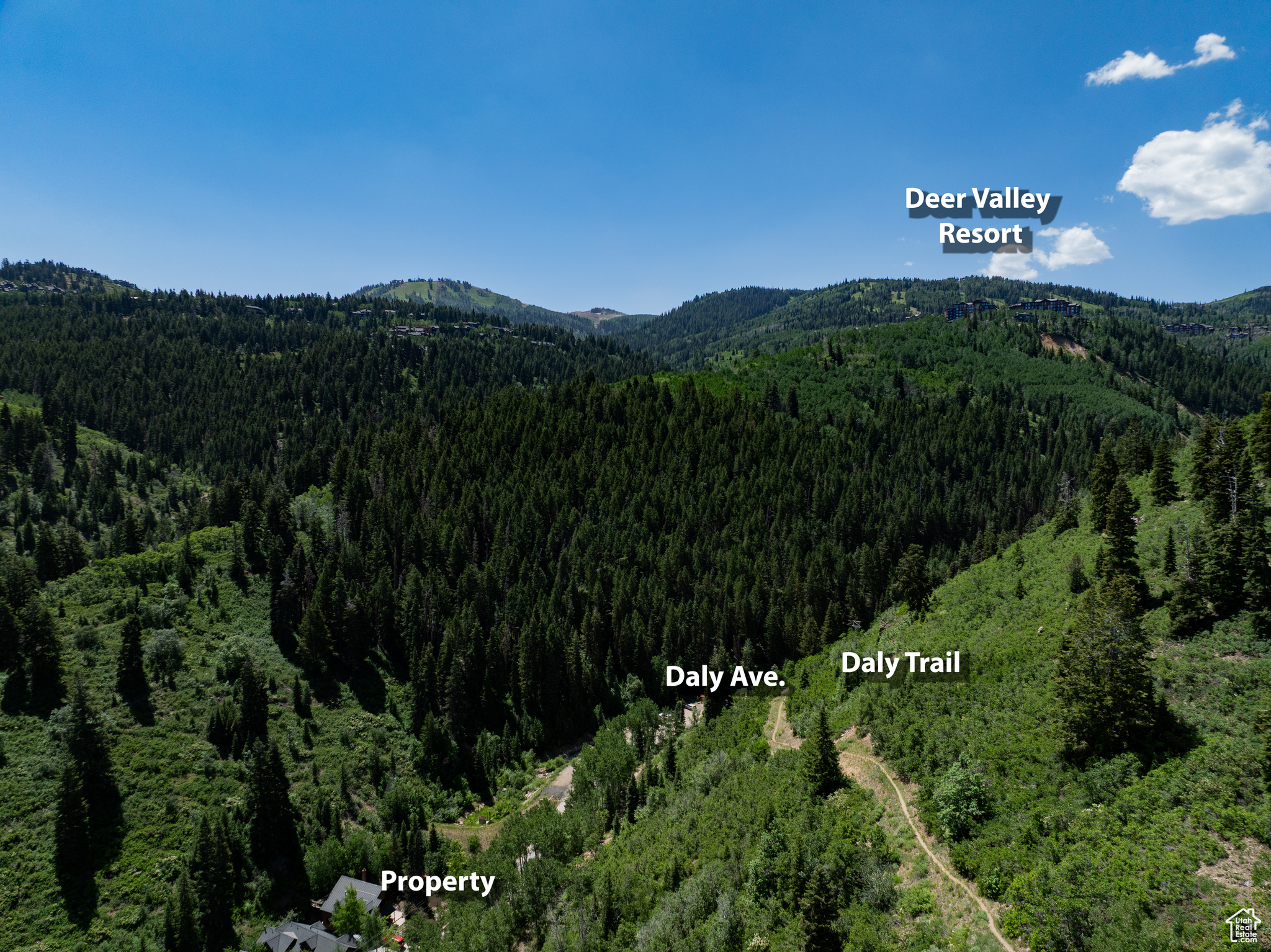 THE CANYON SUBDIVISION - Land