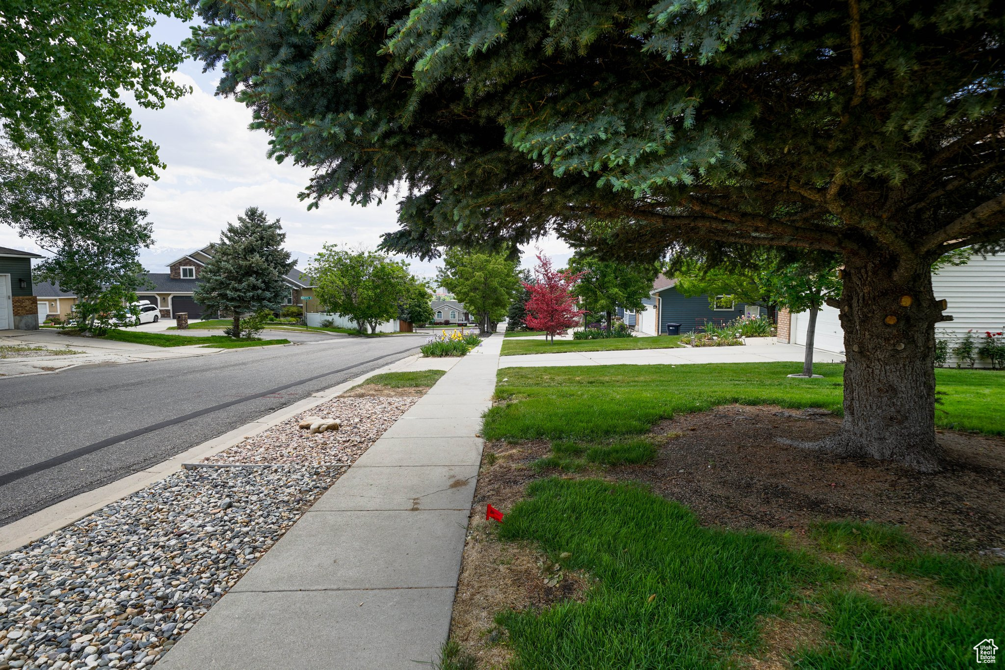 1213 E Earl Way, Sandy, Utah image 23