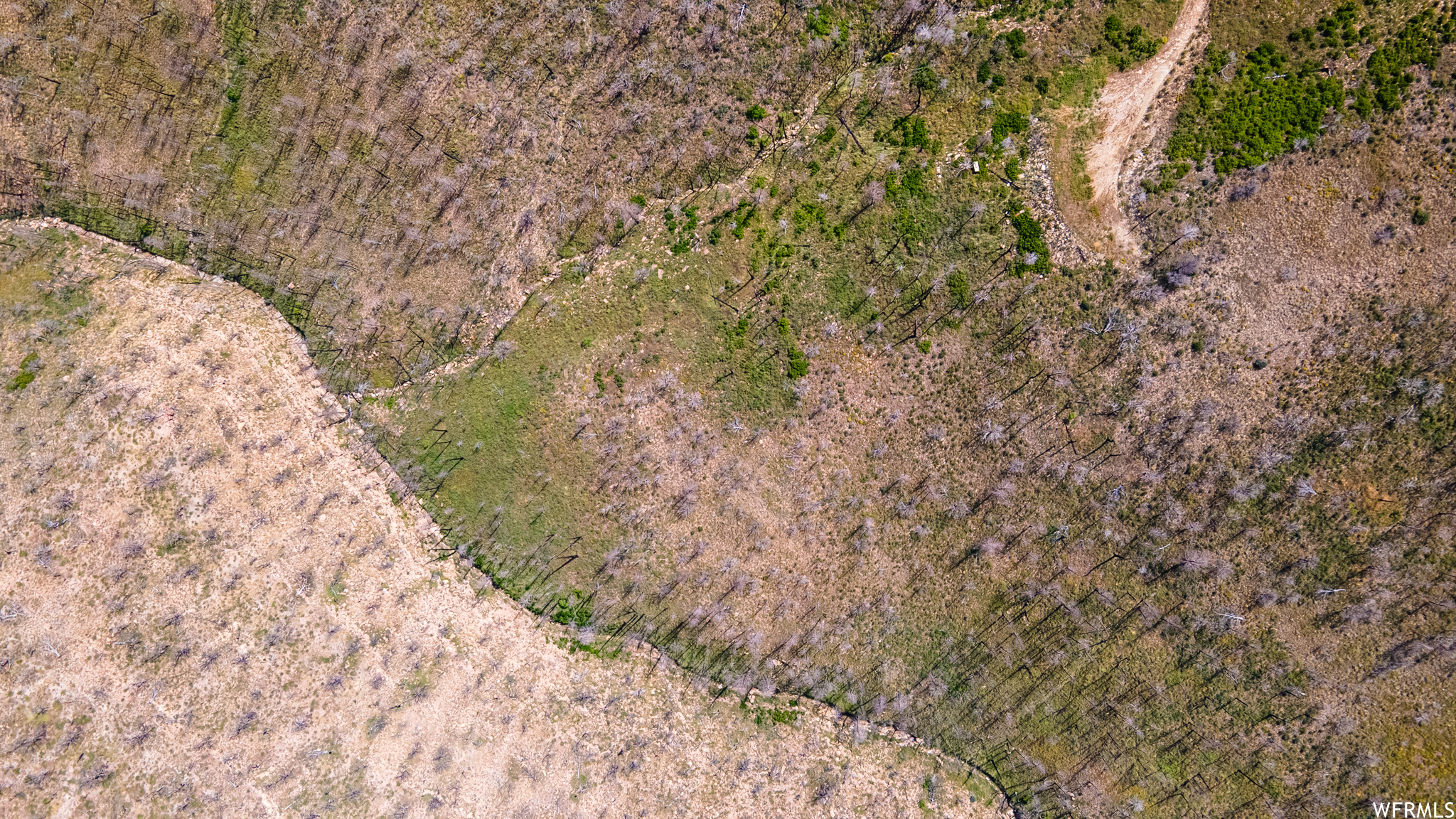 STRAWBERRY PROPERTIES - Land