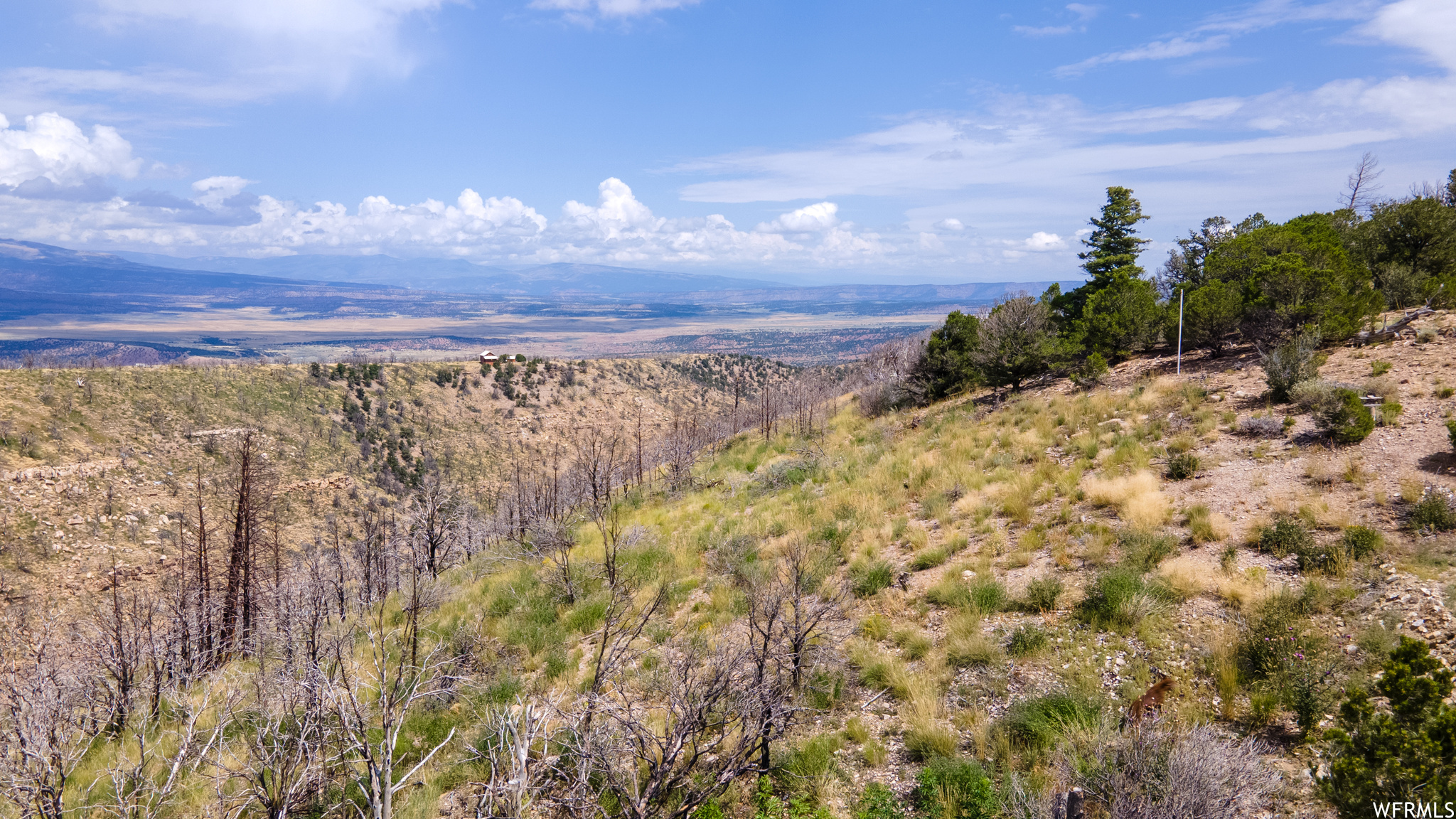 STRAWBERRY PROPERTIES - Land