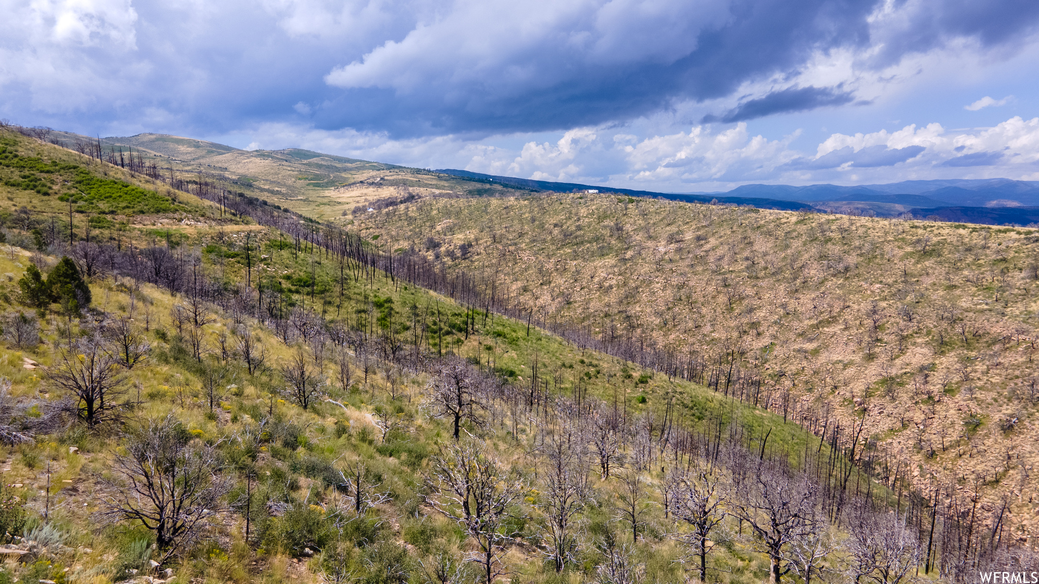 STRAWBERRY PROPERTIES - Land