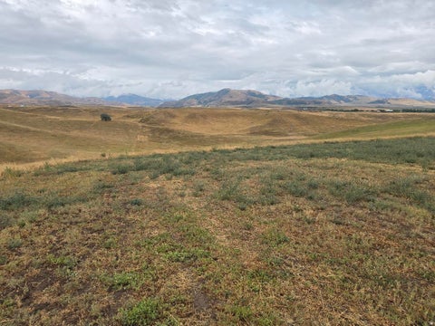 Photo of 1400 N 800 E, Preston, ID 83263 (MLS # 2180571)