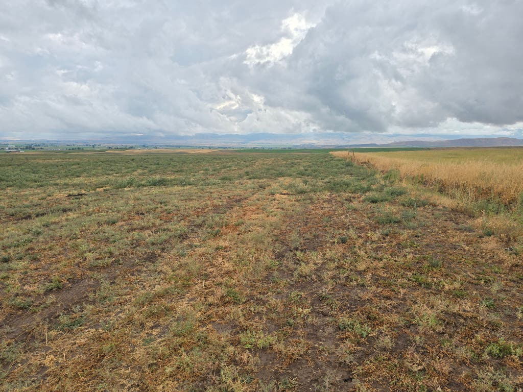 Photo of 1400 N 800 E, Preston, ID 83263 (MLS # 2180571)