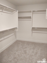 TAYLOR'S GROVE - Residential