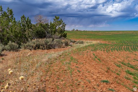 Vacant Land For Sale - 1 N Bug Pt<br/> Monticello, UT 84535