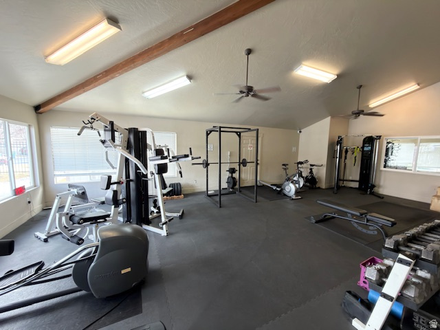 ASPEN SPRINGS PHASE - Residential