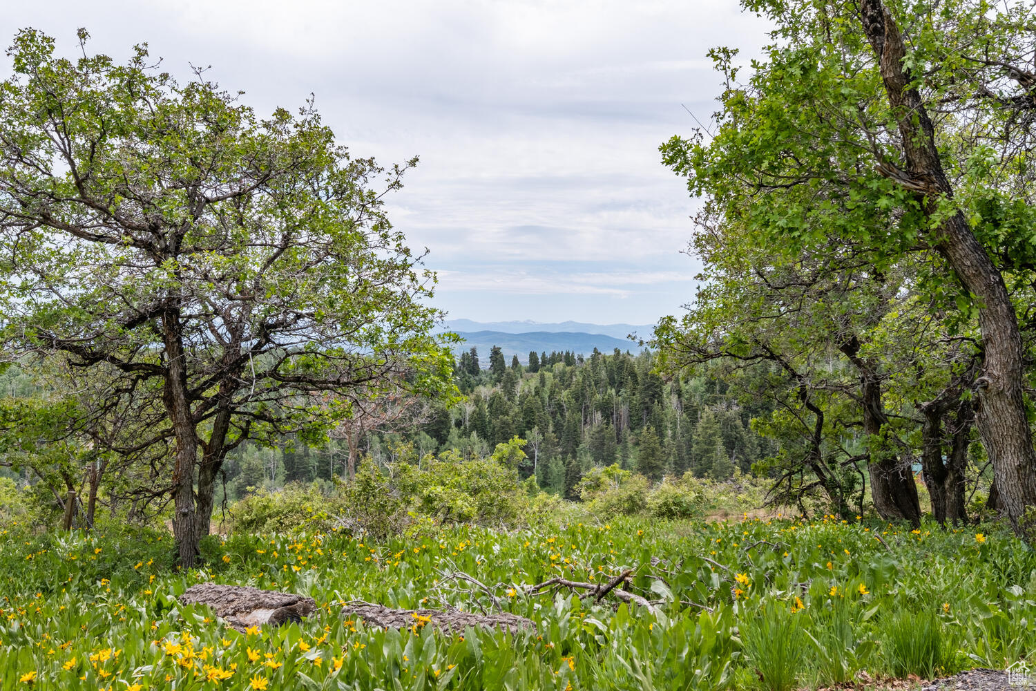 209 Porcupine Loop, Coalville, Utah image 28