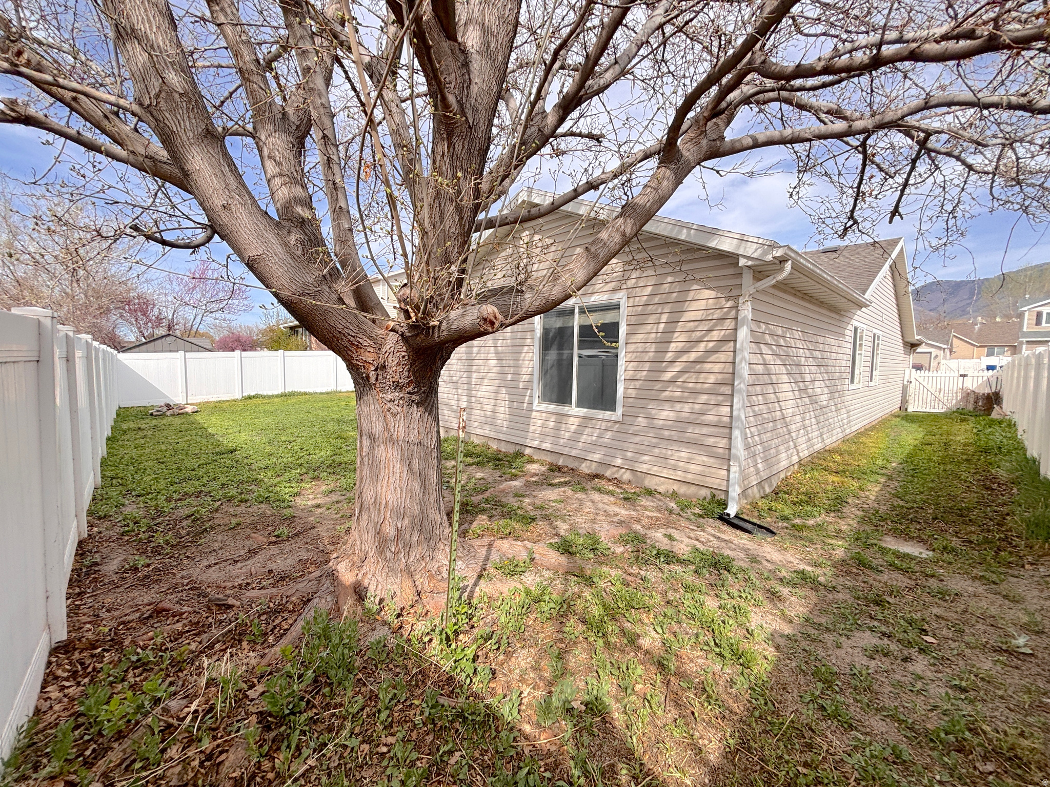 THE VILLAGE AT COUNTRY CROSSING - Residential