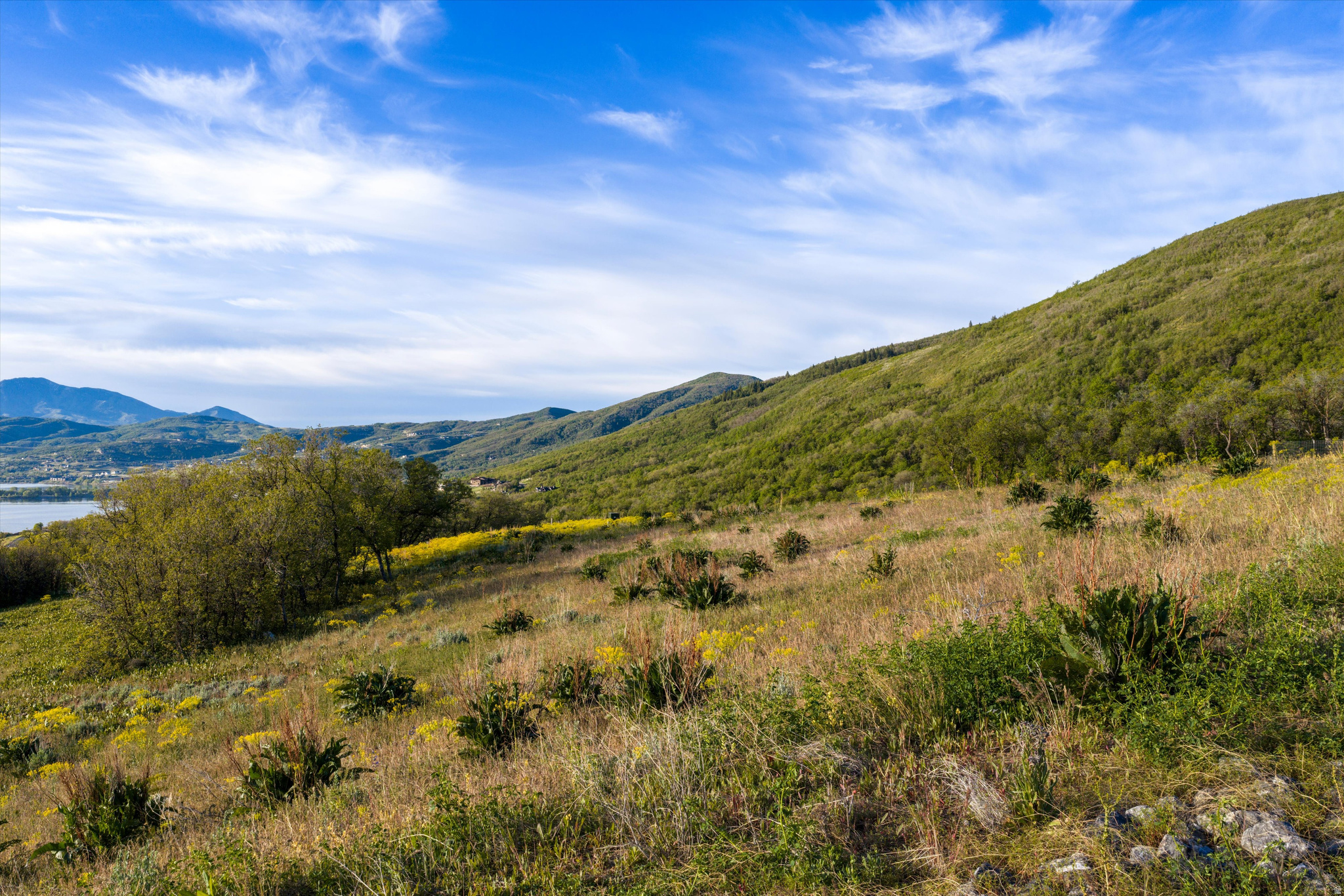 OSPREY RANCH - Land