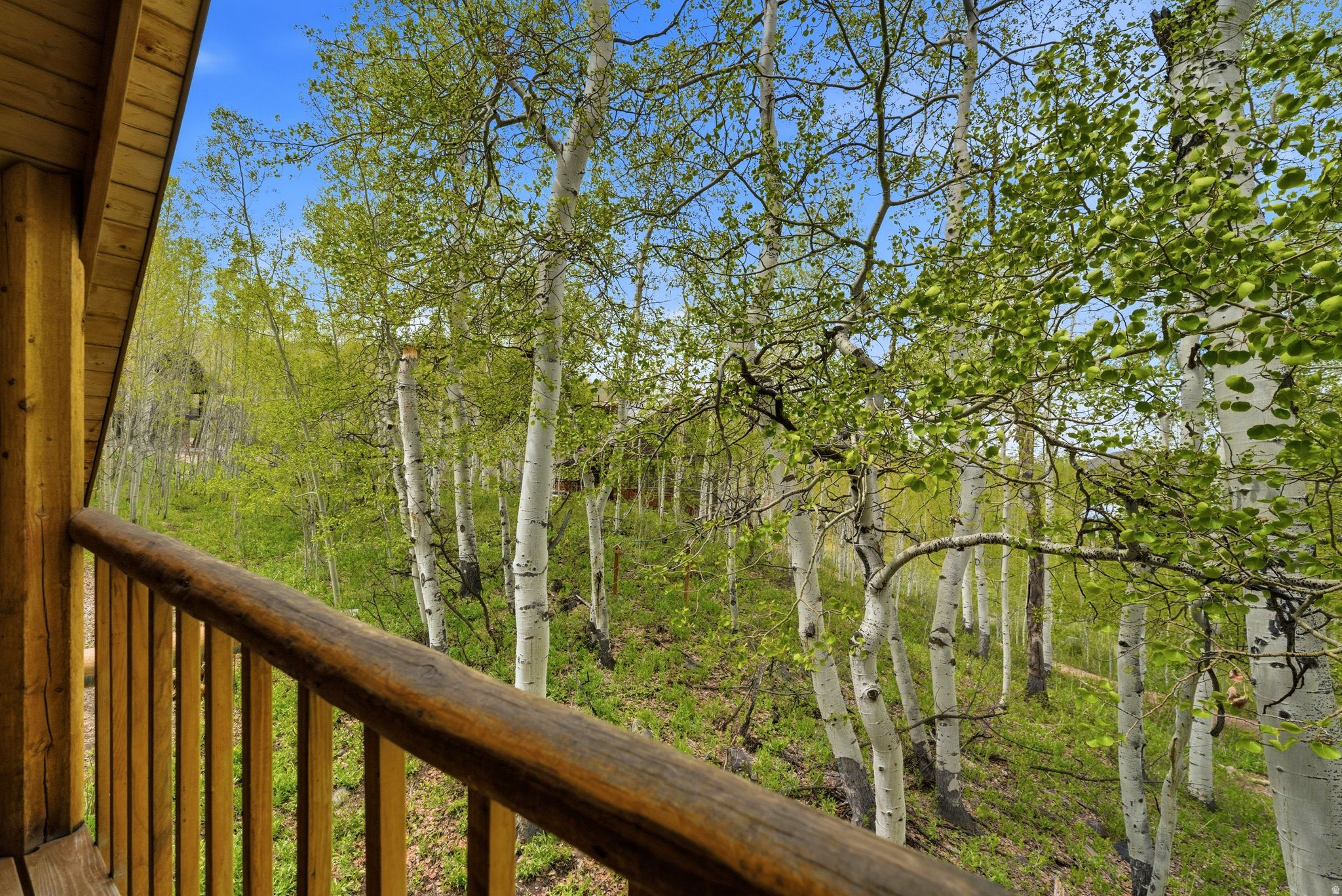 TIMBER LAKES - Residential