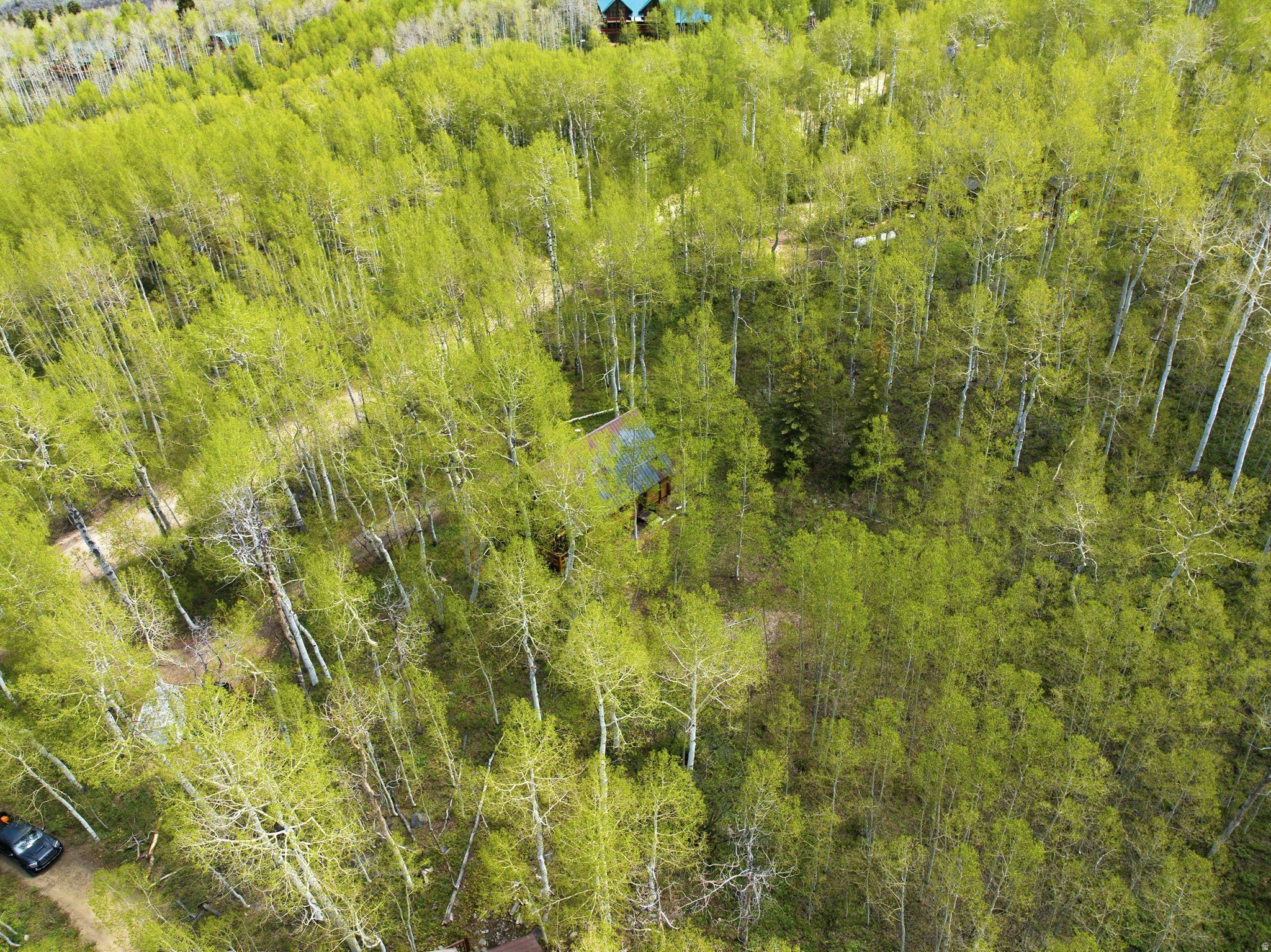 TIMBER LAKES - Residential
