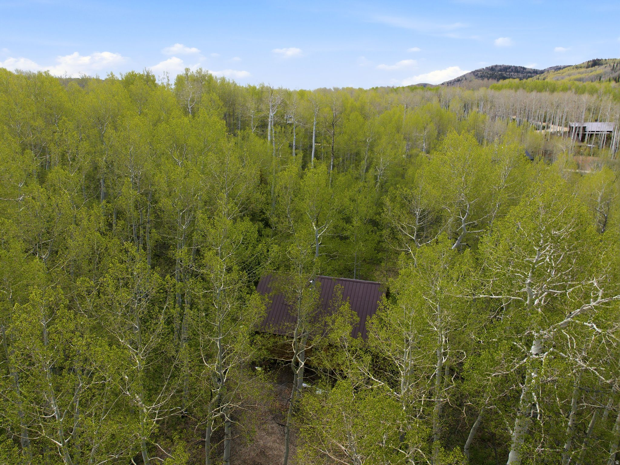 TIMBER LAKES - Residential