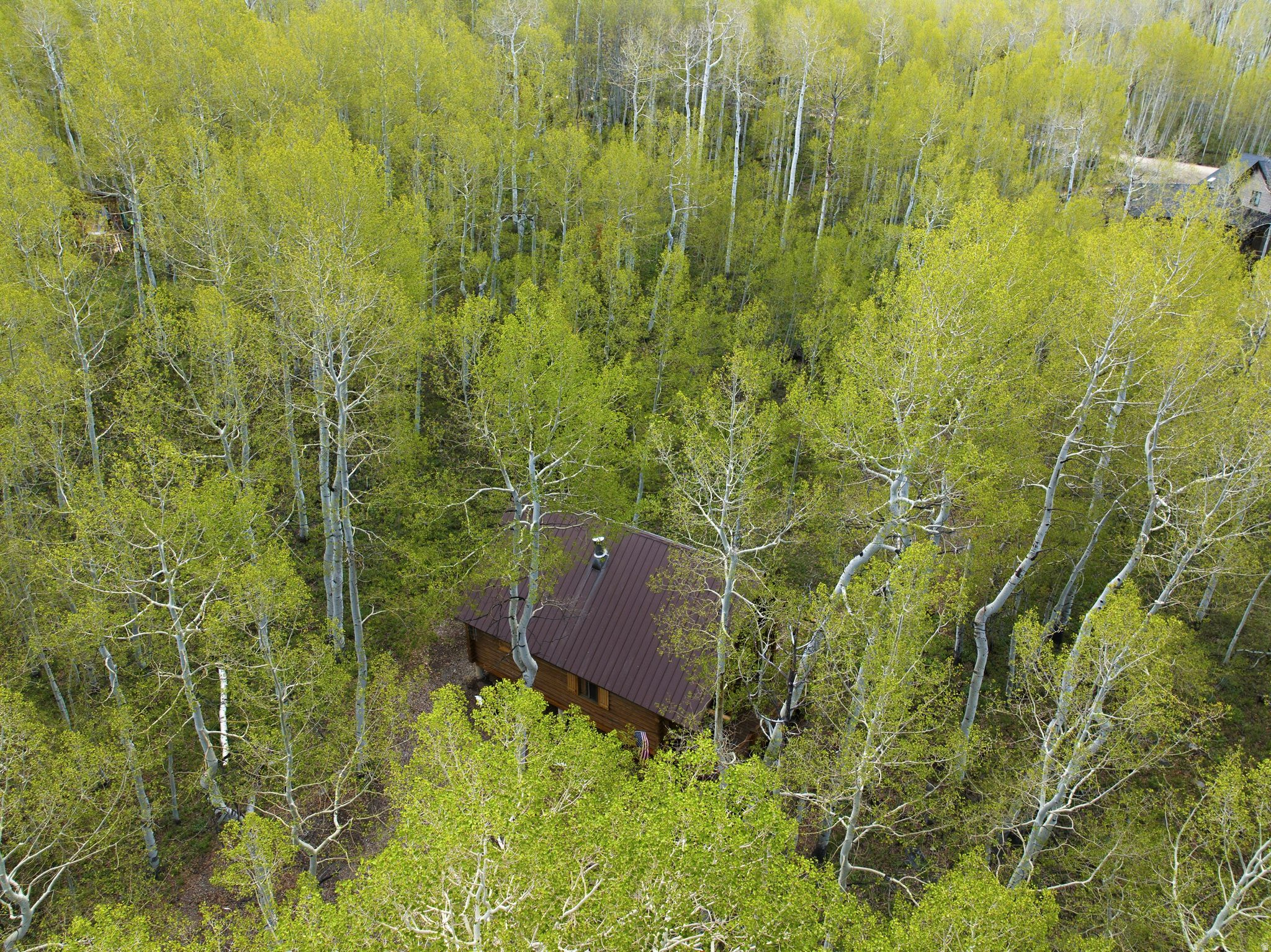 TIMBER LAKES - Residential