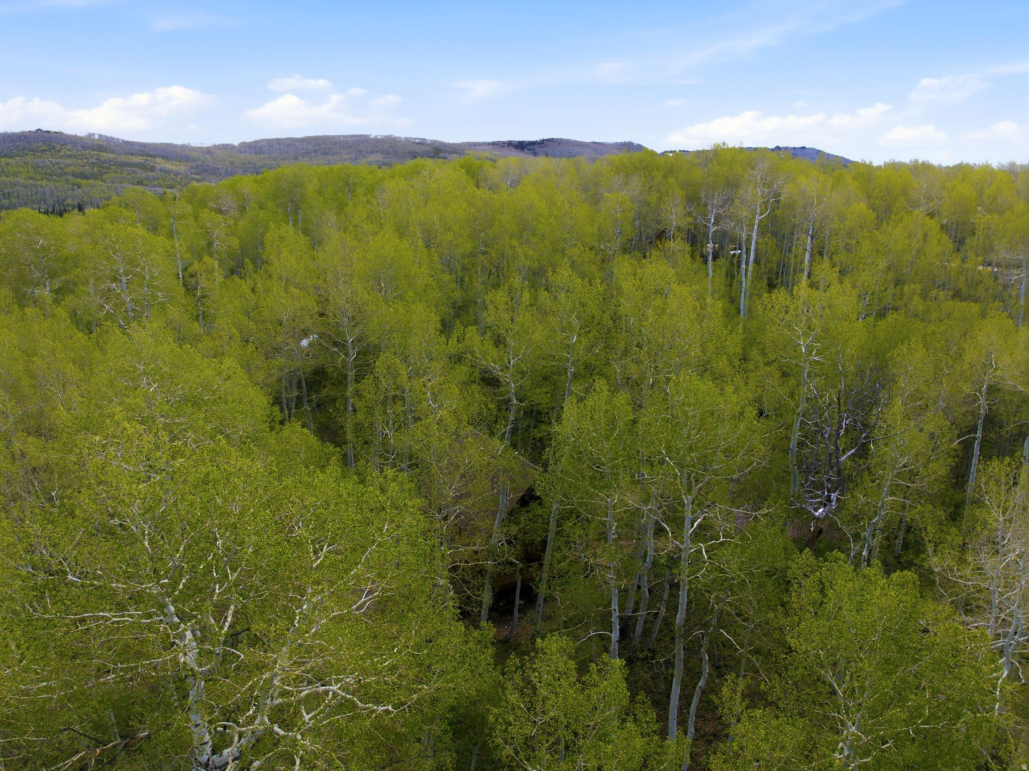 TIMBER LAKES - Residential