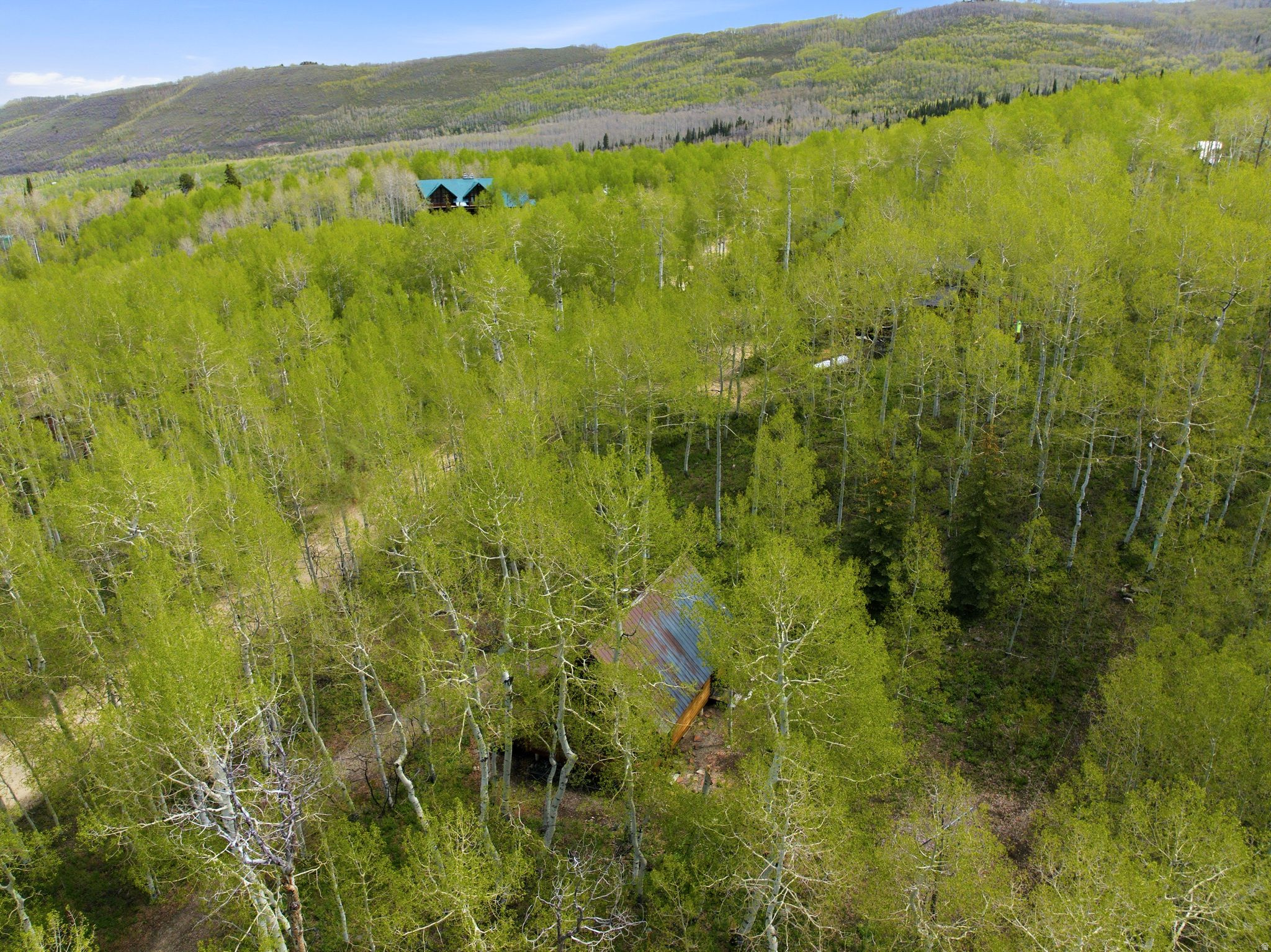 TIMBER LAKES - Residential