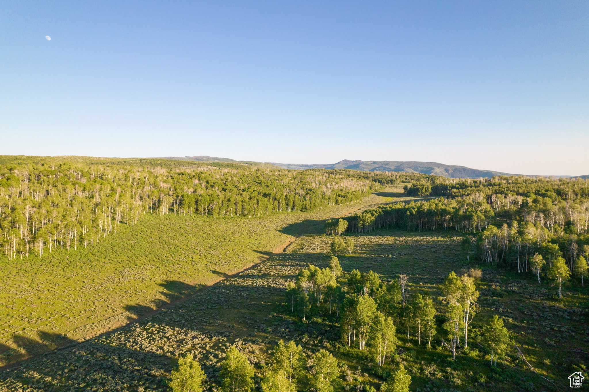 WOLF CREEK - Residential