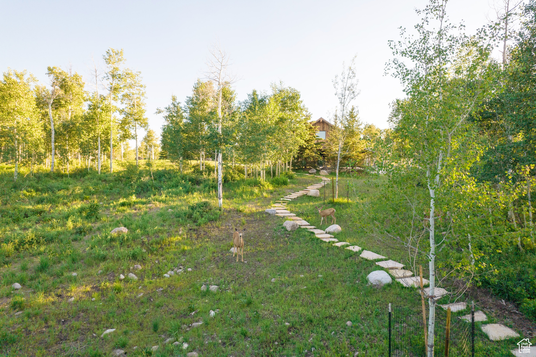 WOLF CREEK - Residential