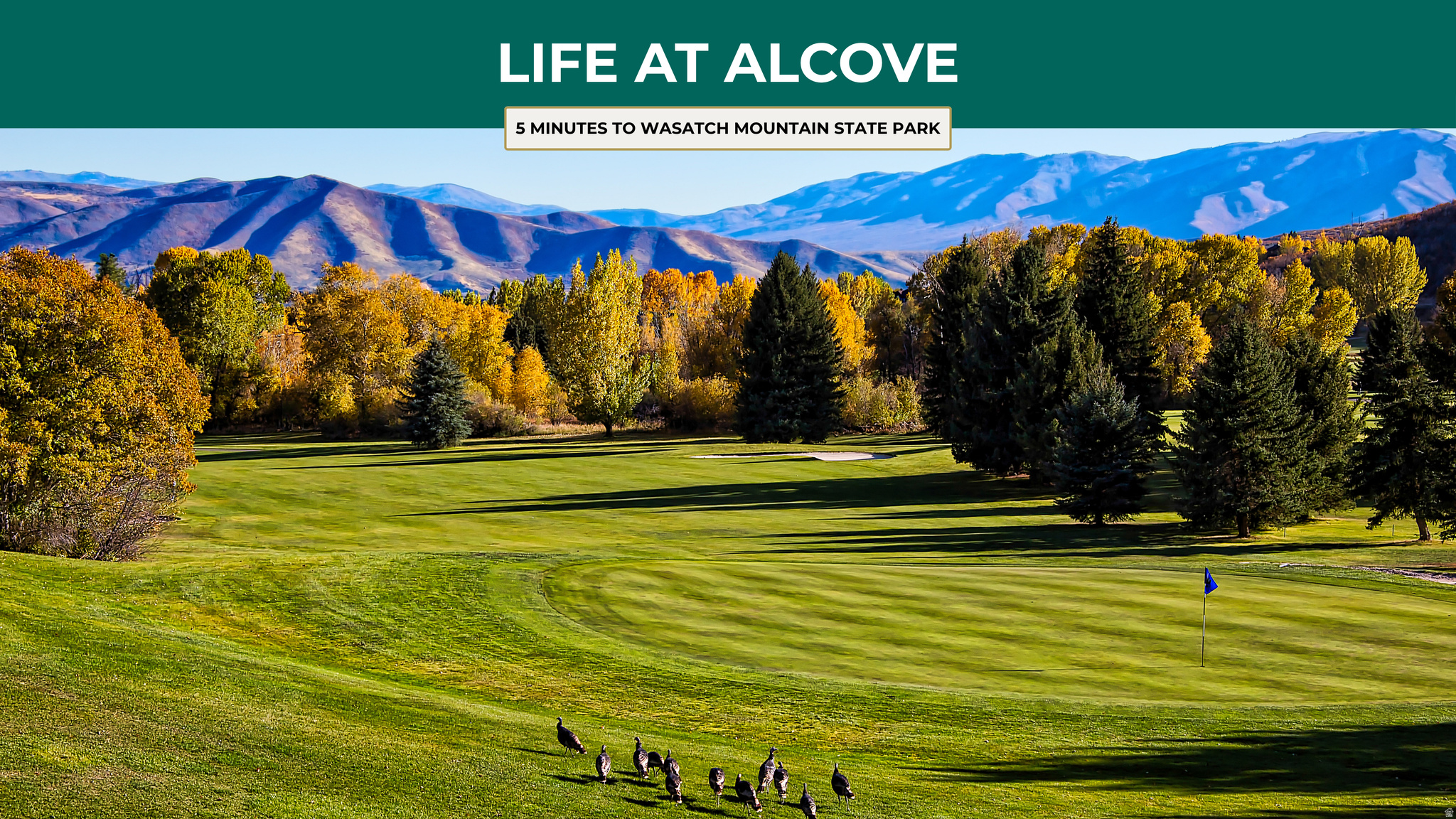 ALCOVE - Residential