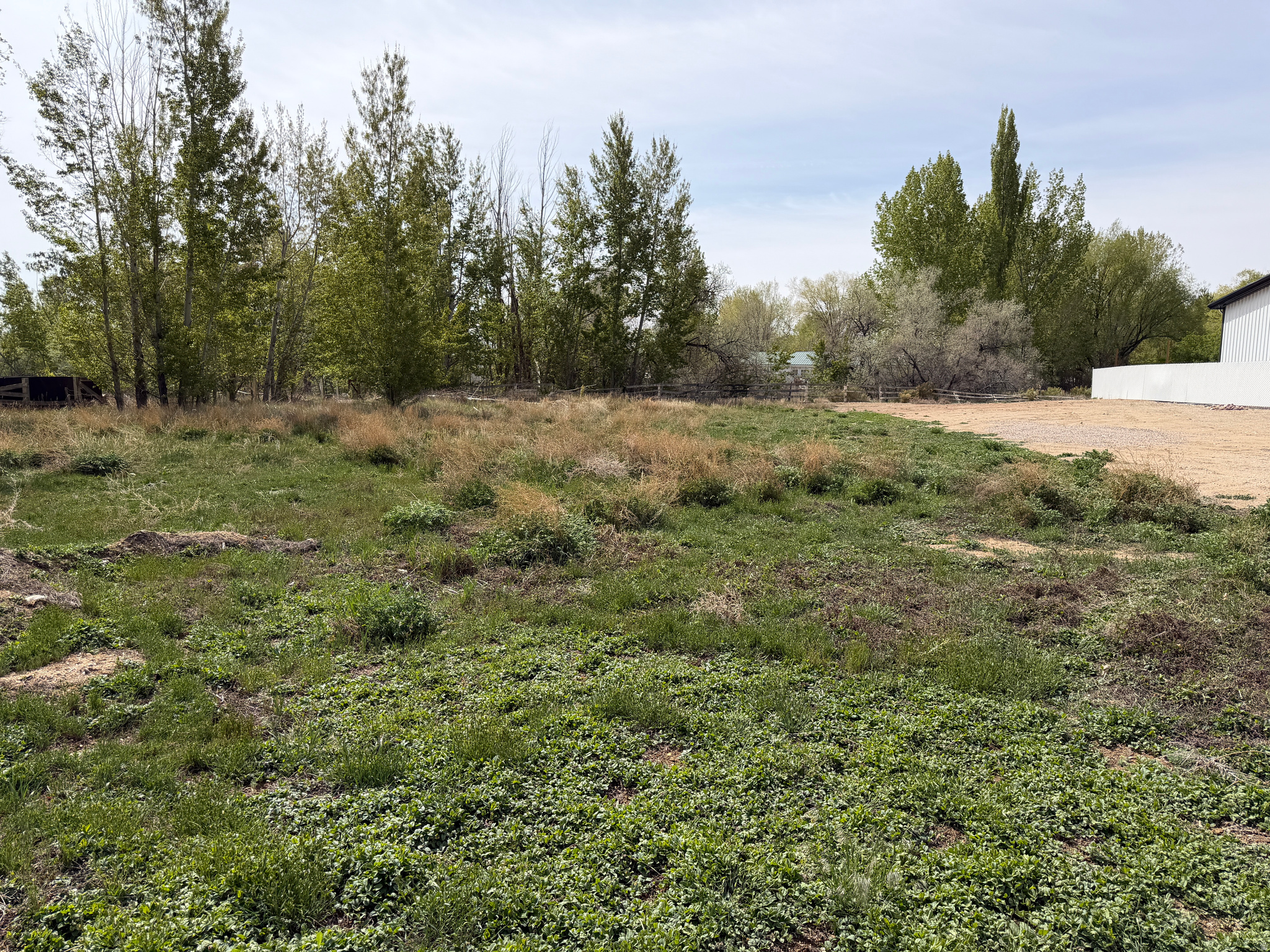 WARRIORS WAREHOUSE - Land