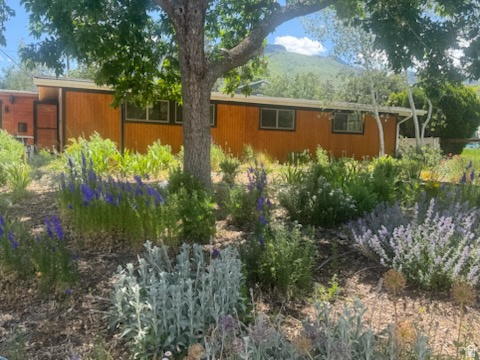 COTTONWOOD HEIGHTS SUB - Residential
