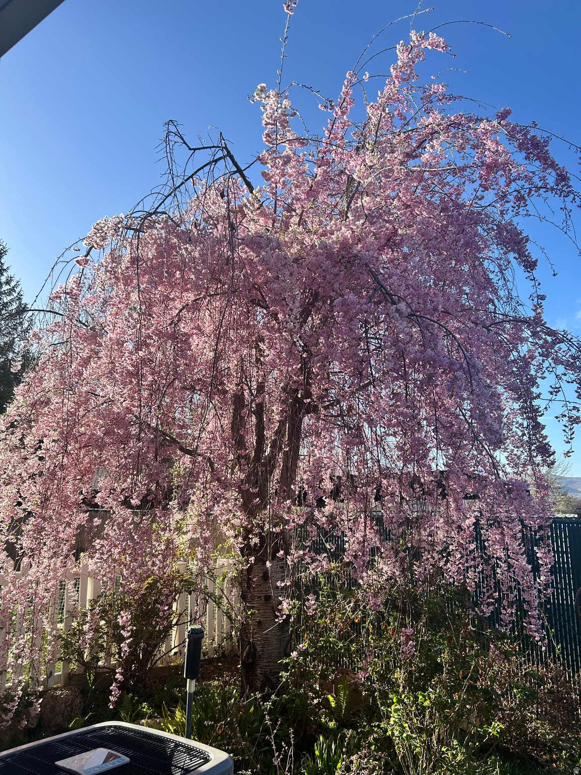COUNTRY COTTAGES - Residential