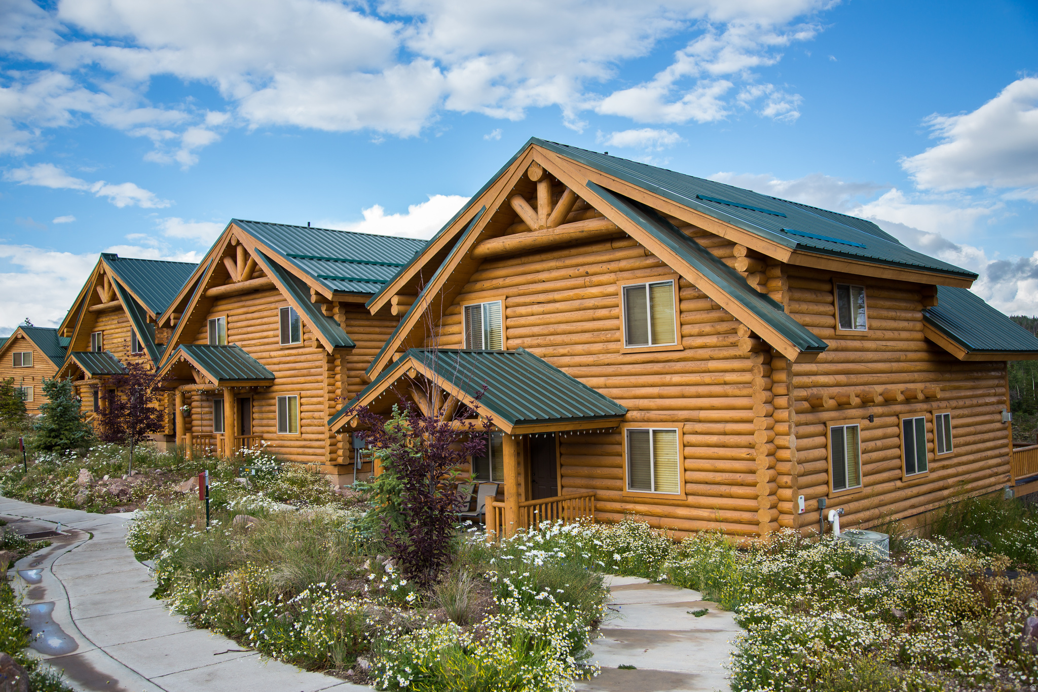 THE CABINS AT BEAR RIVER LODGE - Residential