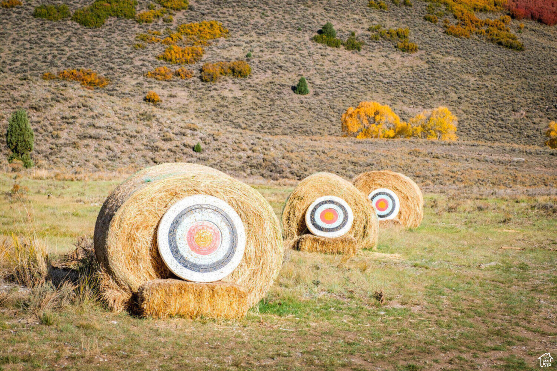 VICTORY RANCH - Residential