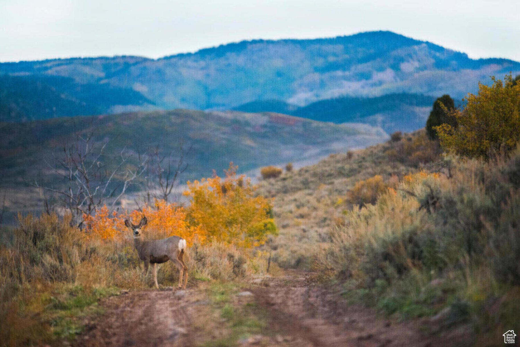VICTORY RANCH - Residential