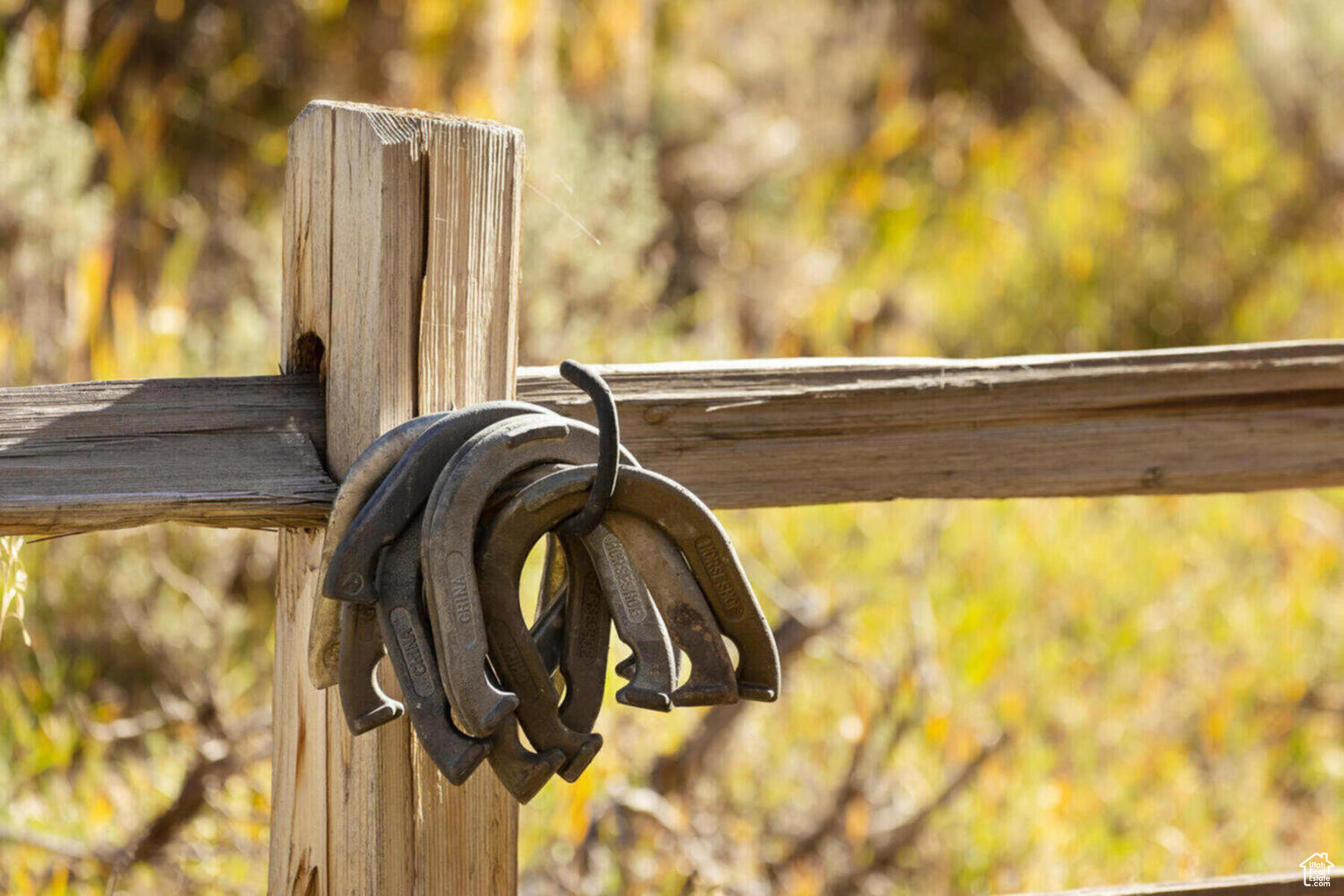 VICTORY RANCH - Residential