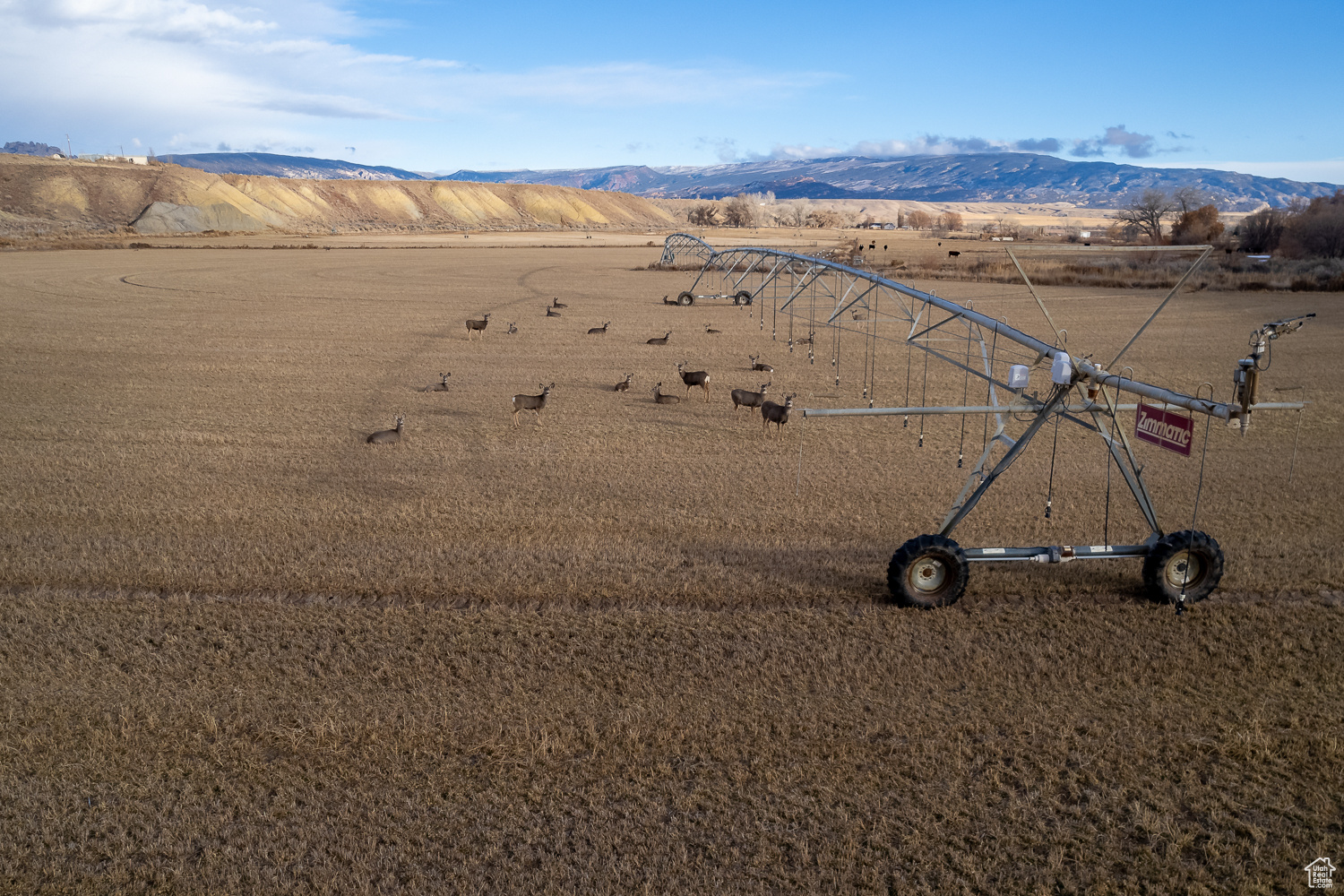 3100 S 9800, Jensen, Utah image 11