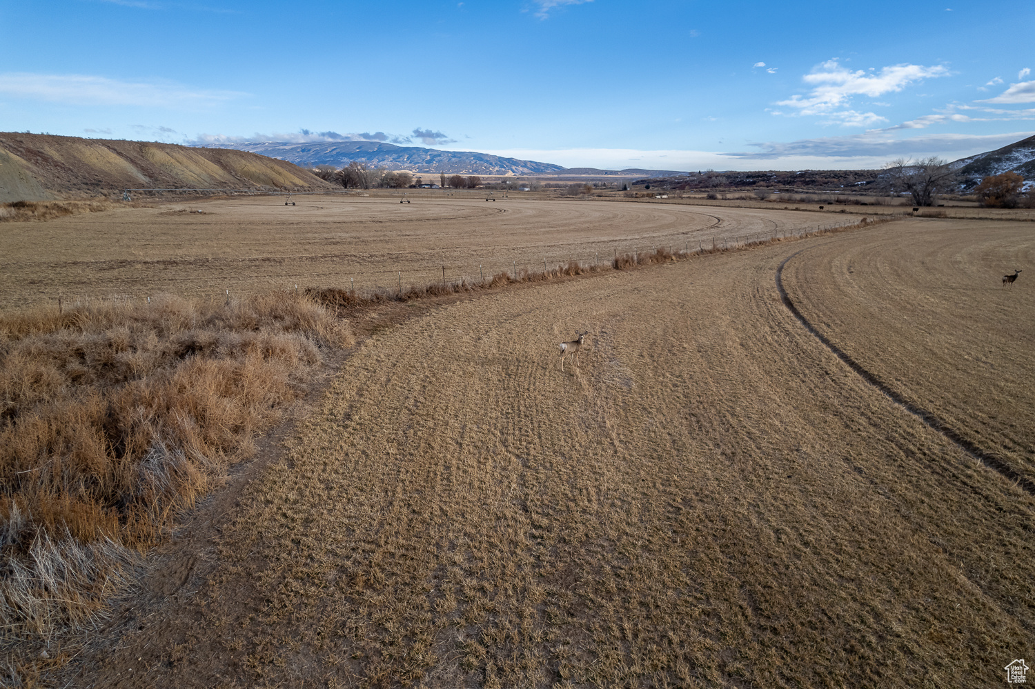 3100 S 9800, Jensen, Utah image 12