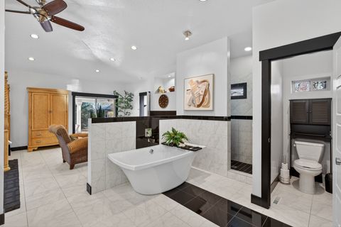 Tiny photo for 145 W CARNESECCA CT, Mapleton, UT 84664 (MLS # 2141448)