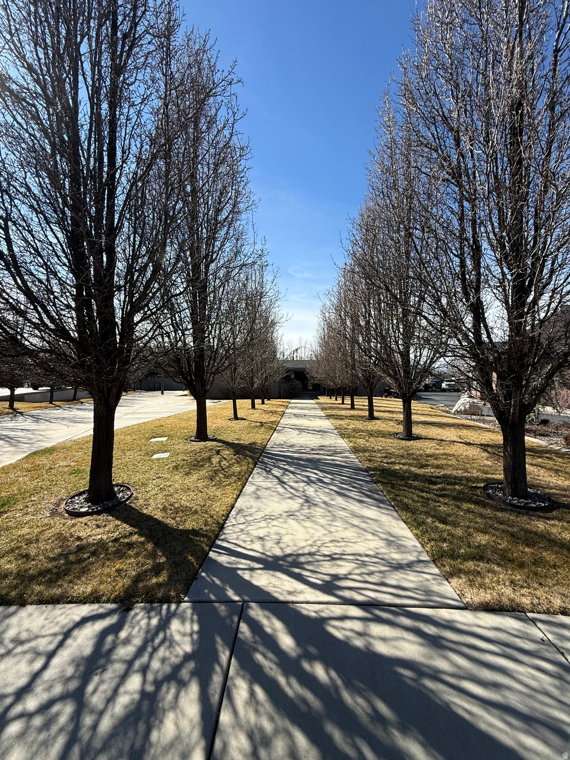 ORCHARD ESTATES - Residential