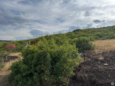 Tiny photo for 20 Q PUMA RD #Q20, Indianola, UT 84629 (MLS # 2109615)