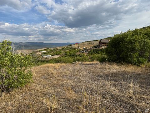 Tiny photo for 20 Q PUMA RD #Q20, Indianola, UT 84629 (MLS # 2109615)