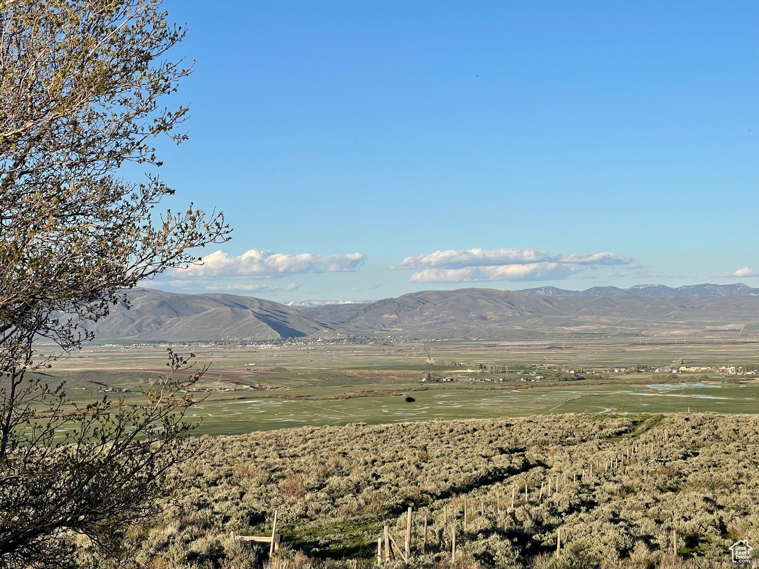 LAKE RIDGE RANCH - Land