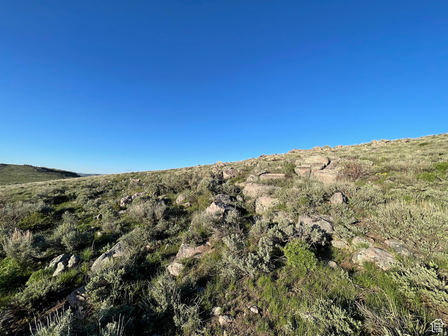 LAKE RIDGE RANCH - Land