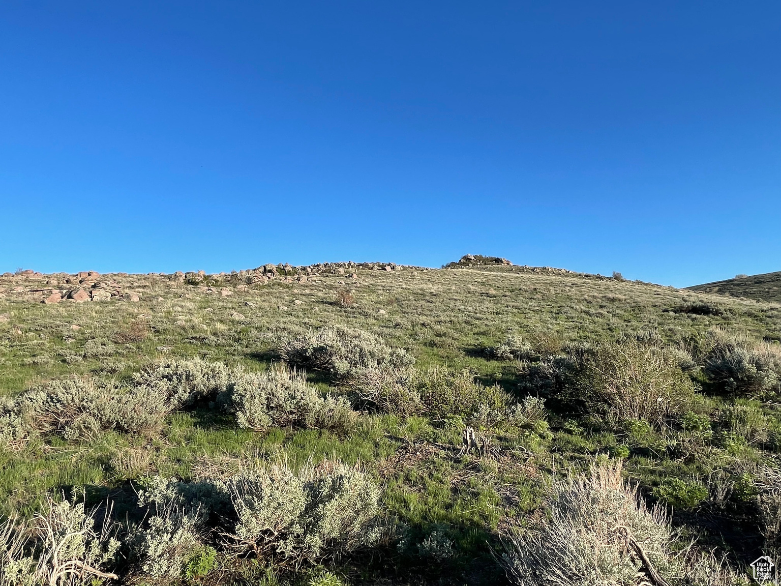 LAKE RIDGE RANCH - Land