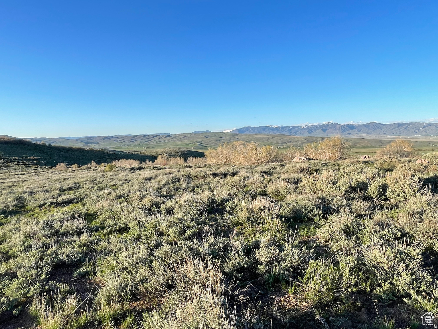 LAKE RIDGE RANCH - Land