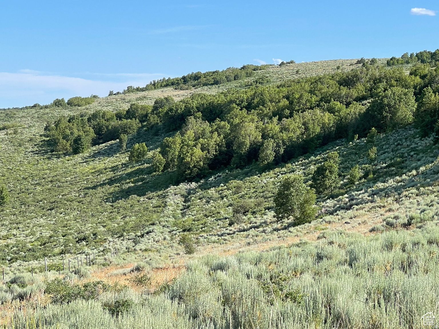 LAKE RIDGE RANCH - Land