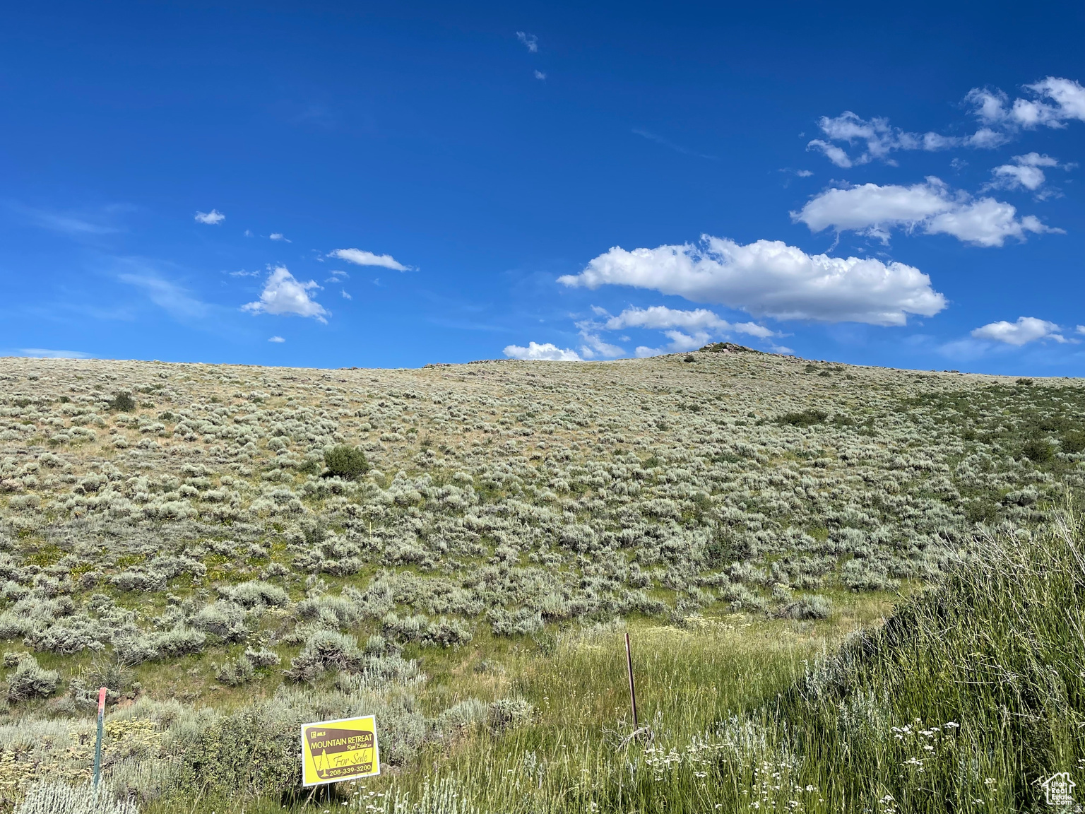 LAKE RIDGE RANCH - Land