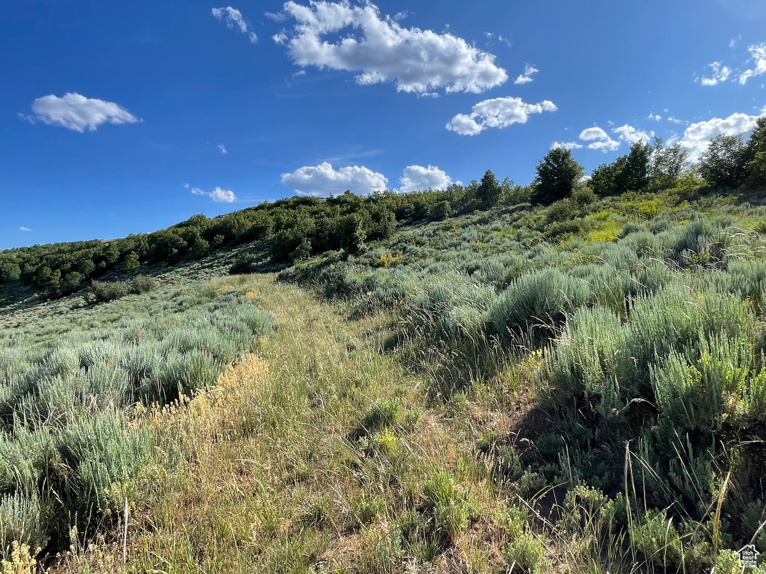 LAKE RIDGE RANCH - Land