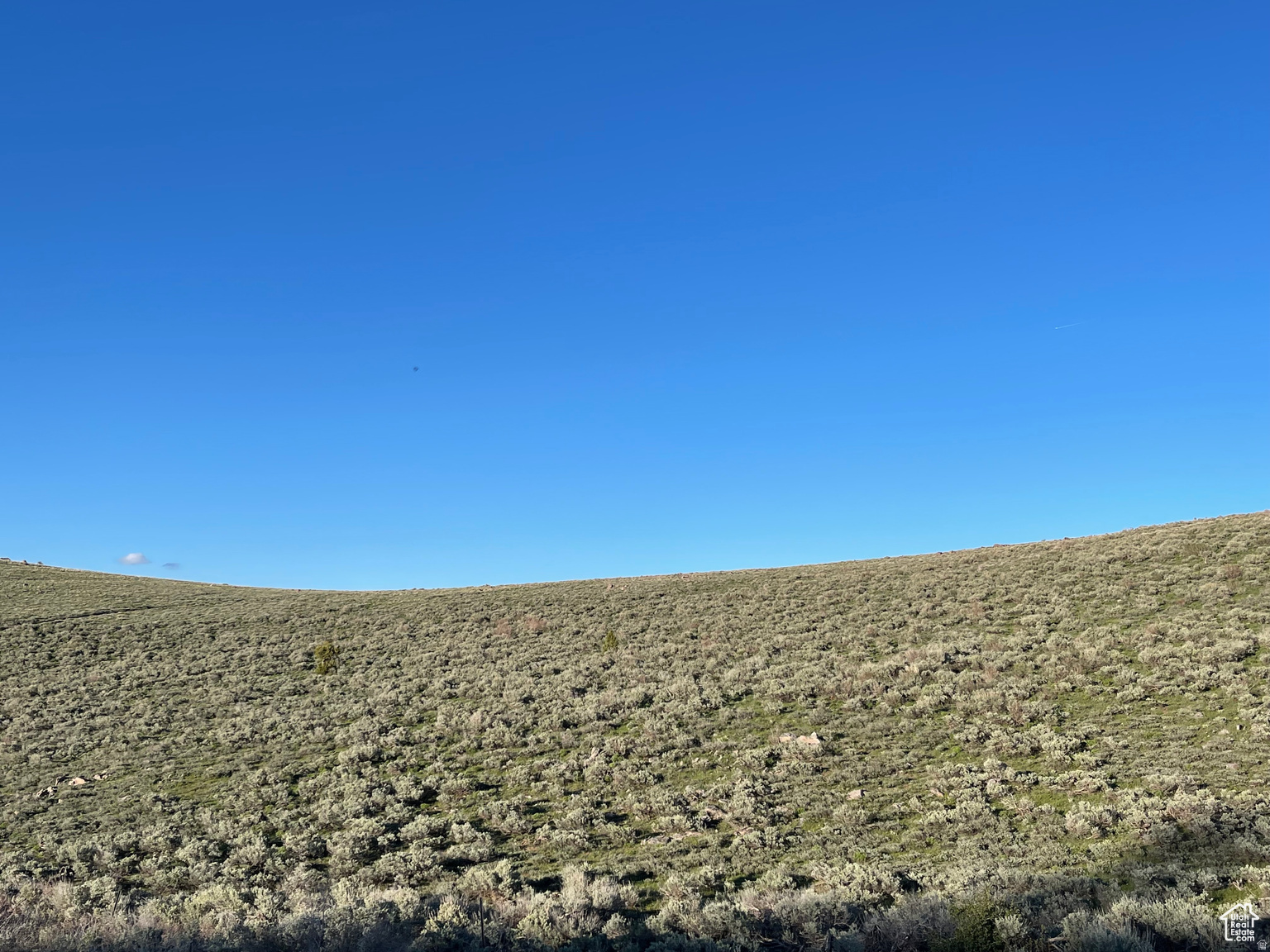 LAKE RIDGE RANCH - Land