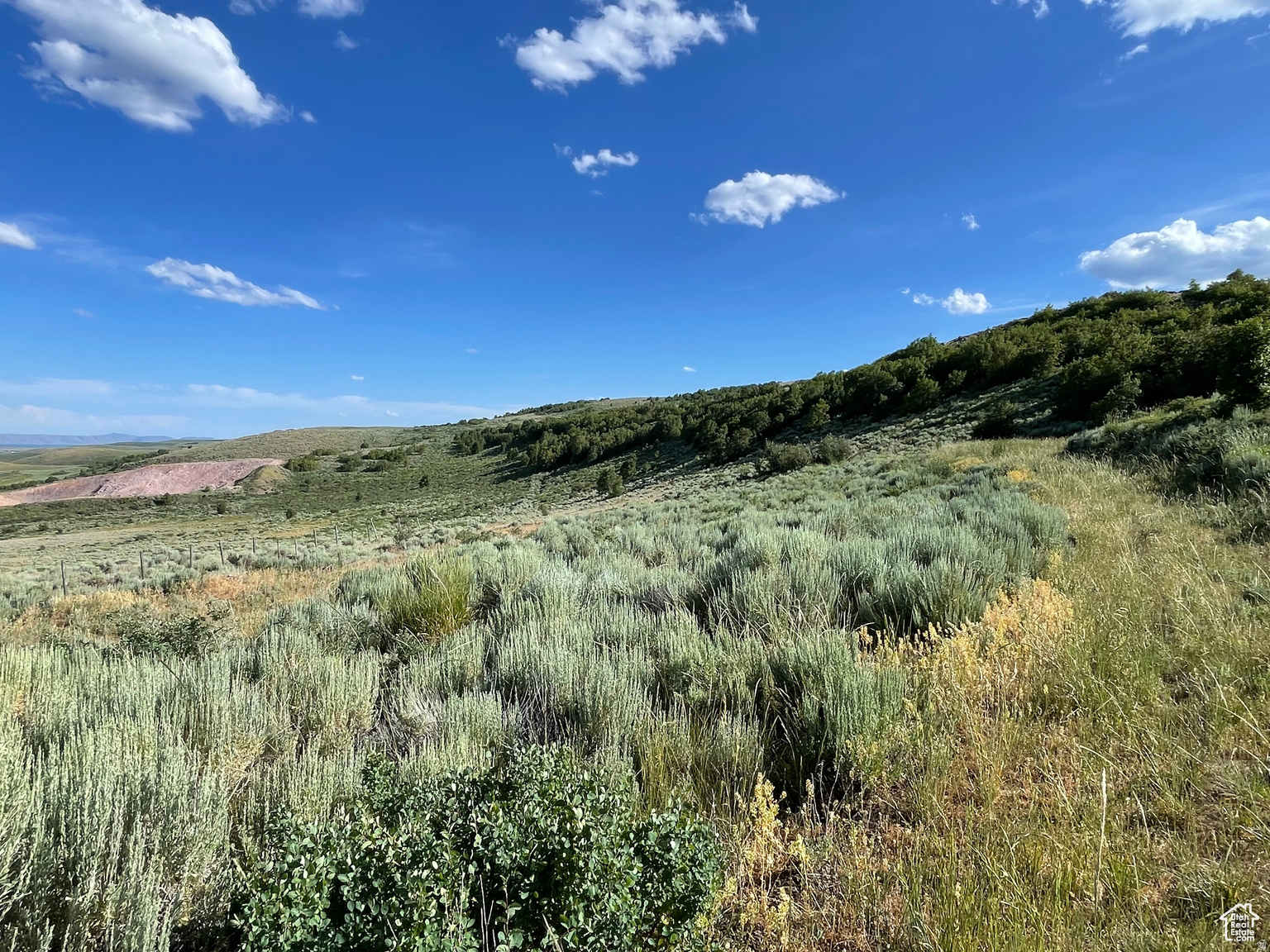 LAKE RIDGE RANCH - Land