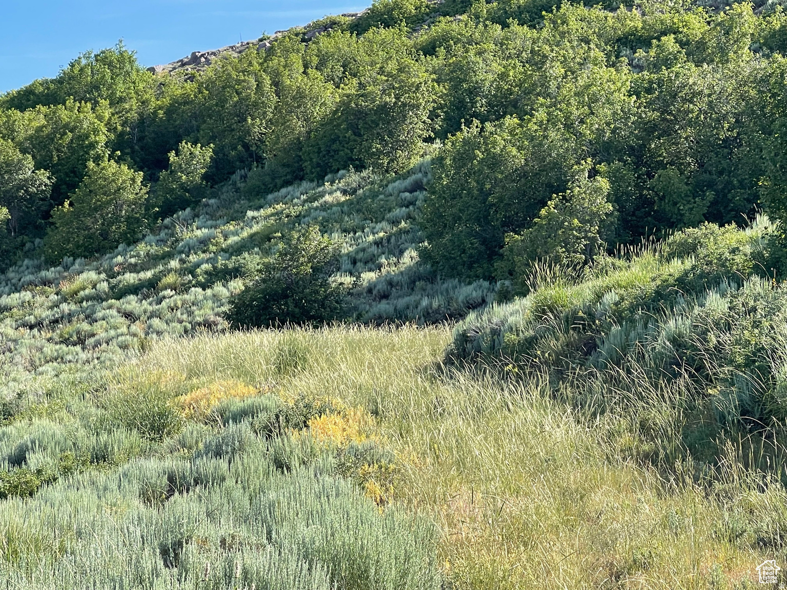 LAKE RIDGE RANCH - Land