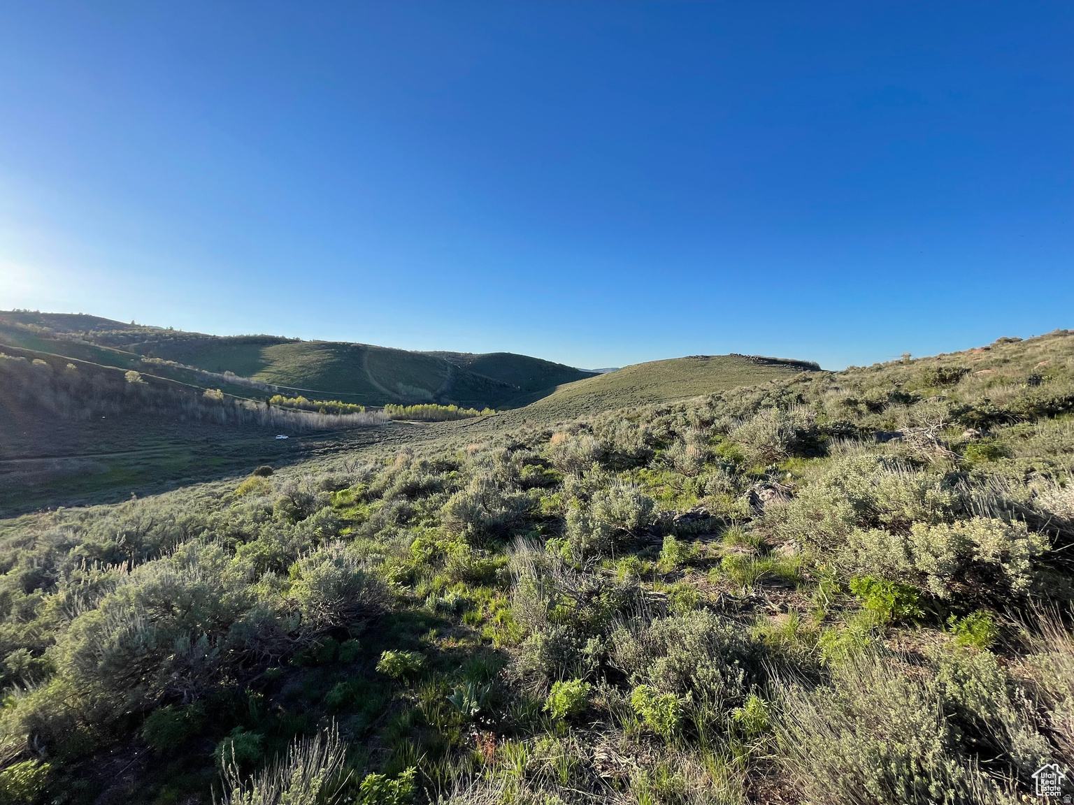 LAKE RIDGE RANCH - Land