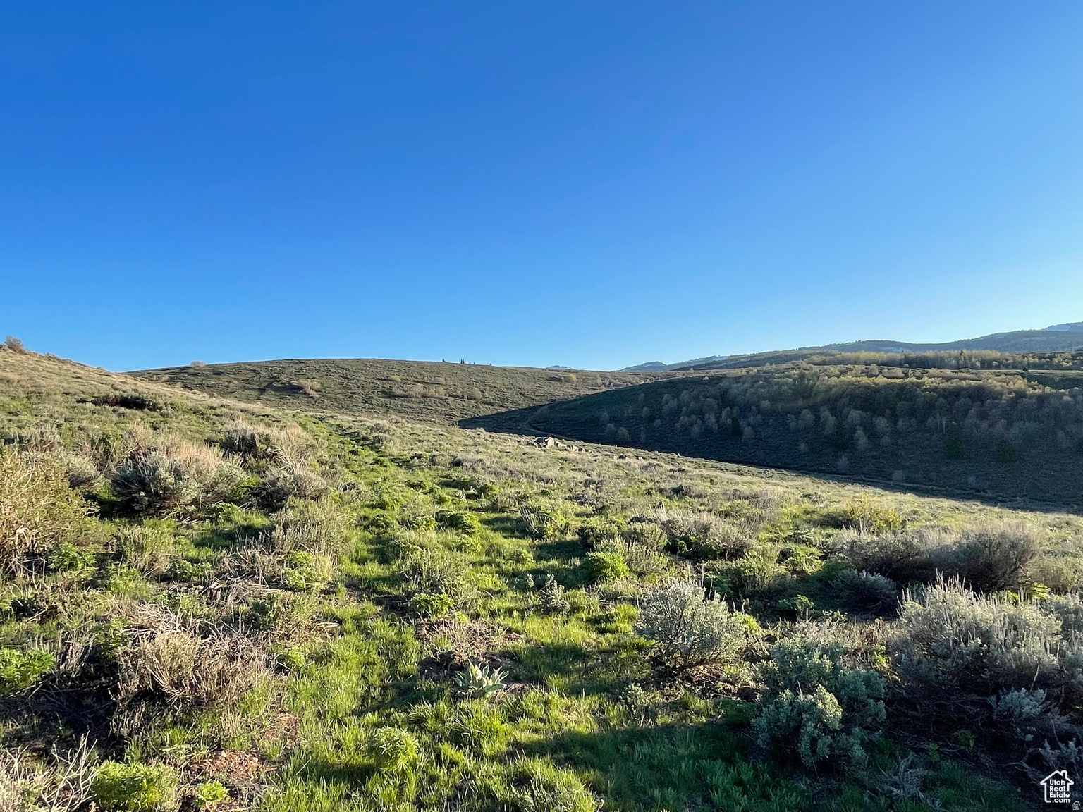 LAKE RIDGE RANCH - Land